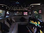 14 Passenger Escalade SUV Inner 
